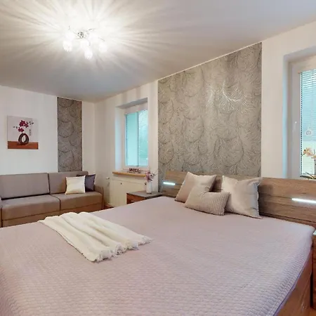 Apartment Rudnik